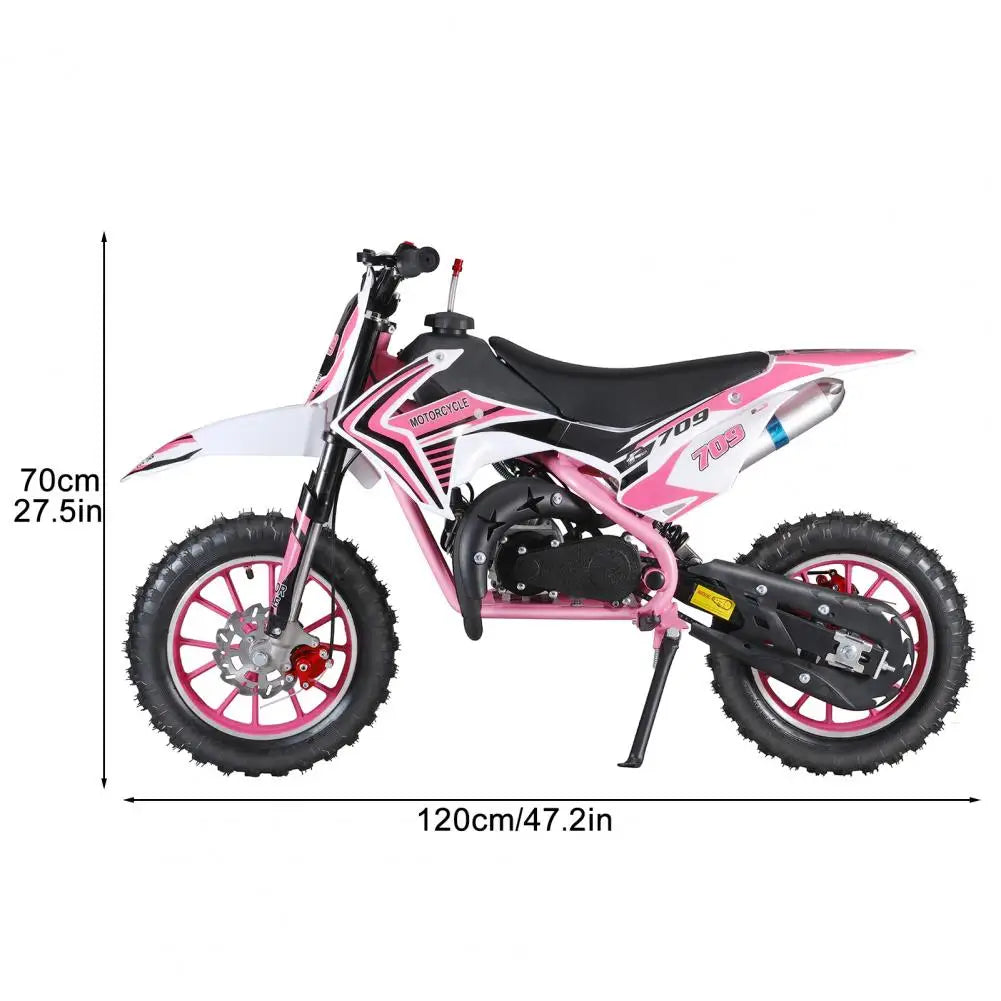 49cc Four Stroke Gas Powered Mini Dirt Bike For Youth