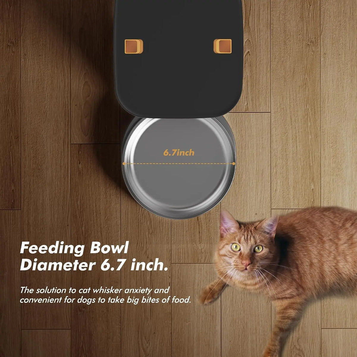 Nityers Automatic Pet Food Dispenser Stainless Steel Bowl
