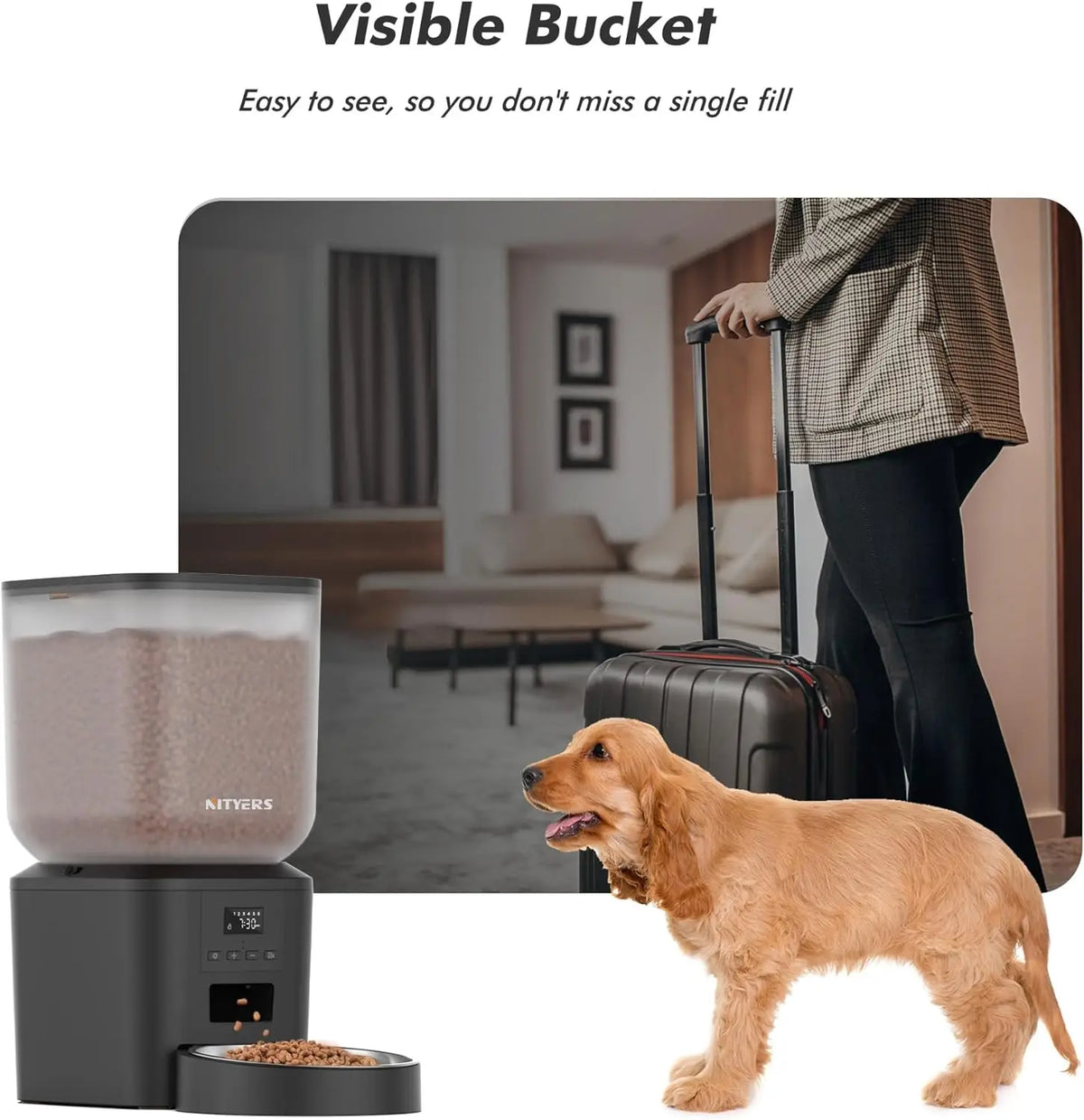 Nityers Automatic Pet Food Dispenser Stainless Steel Bowl