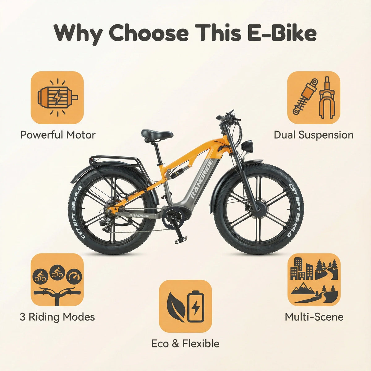 Randride 2000W Electric Mountain Bike With 48V Lithium Battery