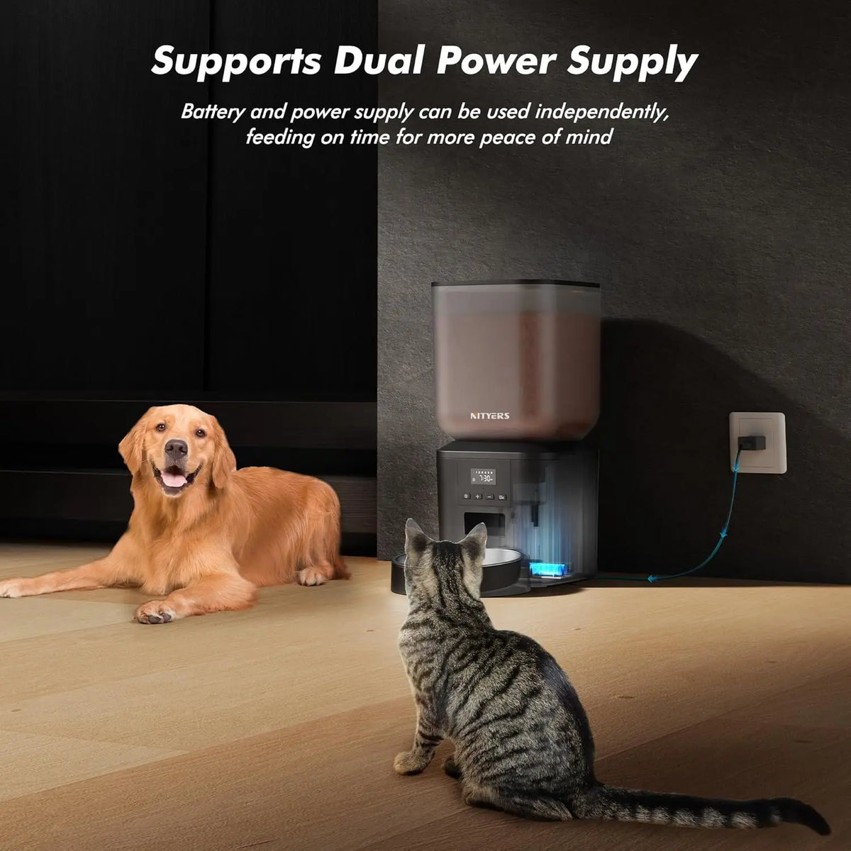 Nityers Automatic Pet Food Dispenser Stainless Steel Bowl