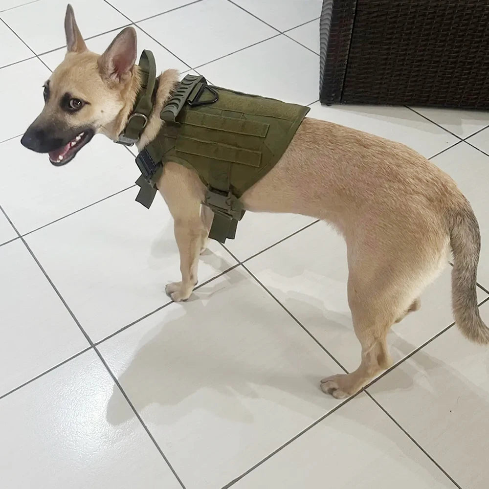 Petavel Adjustable Tactical Dog Harness With Nylon Collar Set