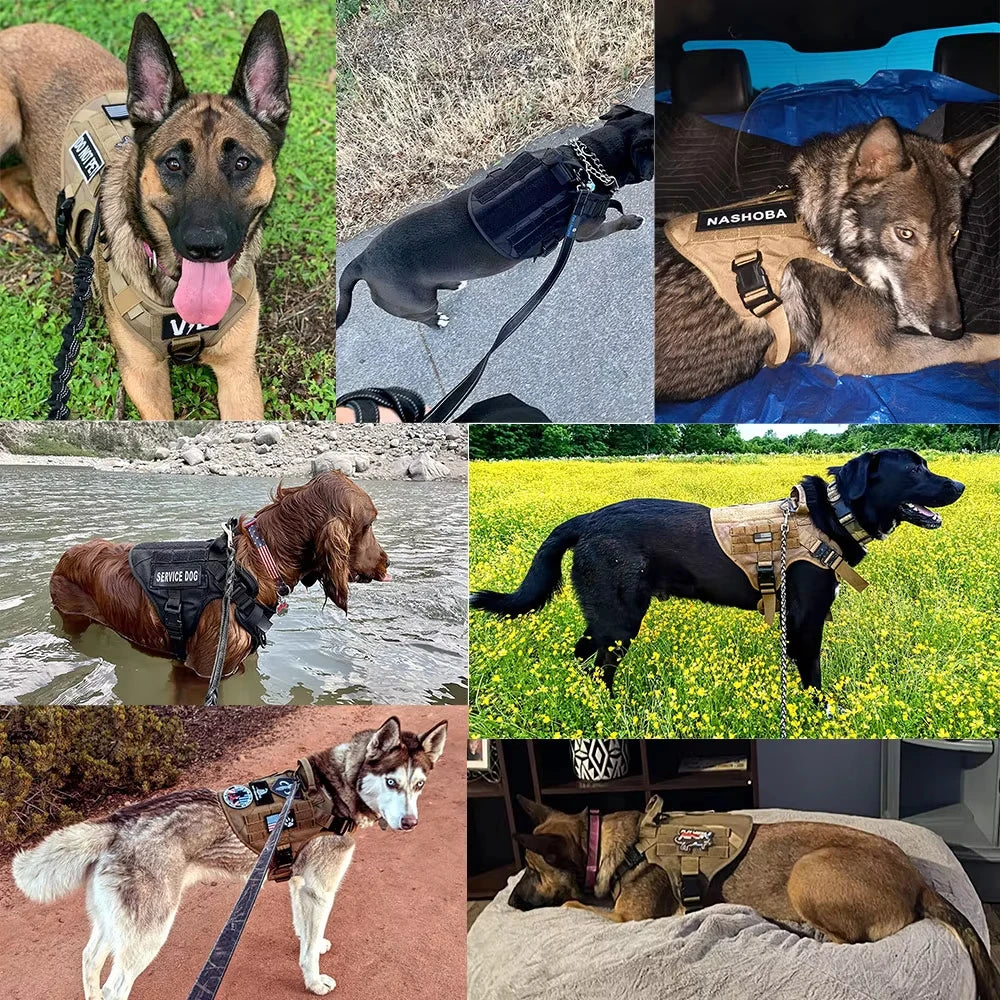 Petravel Padded Dog Tactical Harness Vest With Quick Release Buckle