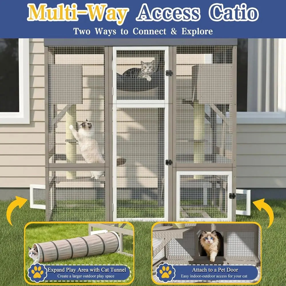 Outdoor Walk In Cat Enclosure With Seven Platforms And Hammock