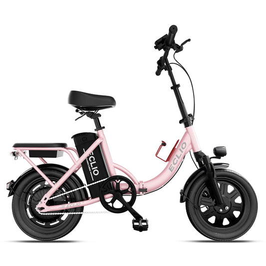 DDC Sport Compact Folding Electric Bike With 48V Removable Battery