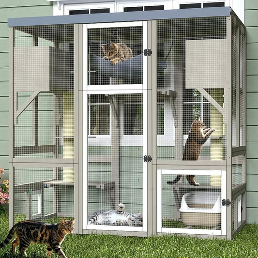 Outdoor Walk In Cat Enclosure With Seven Platforms And Hammock