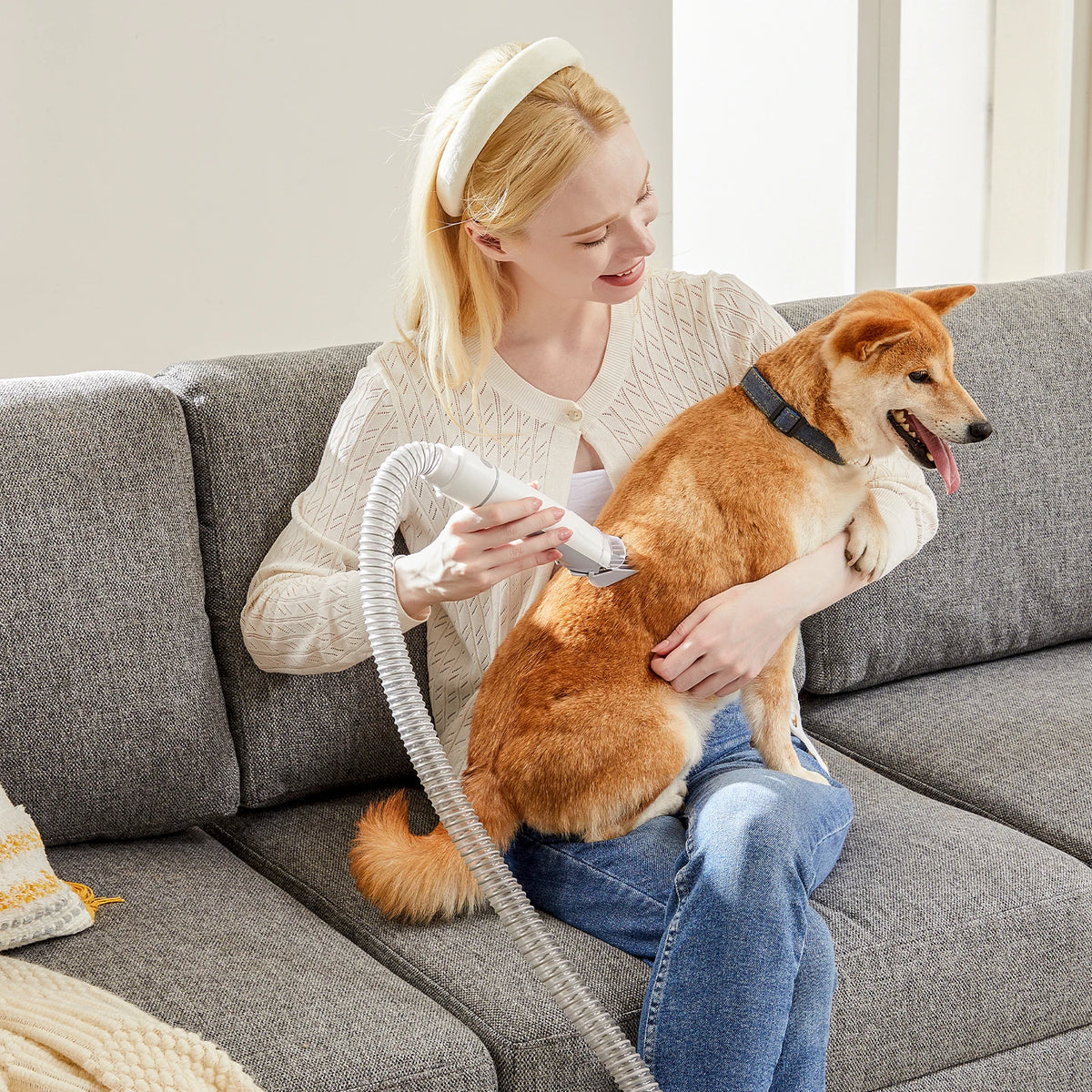 Professional Low Noise Cordless Pet Grooming Vacuum Clipper Kit