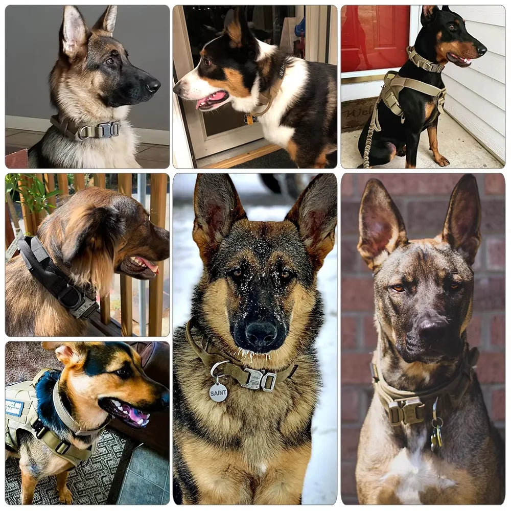 Petavel Adjustable Tactical Dog Harness With Nylon Collar Set