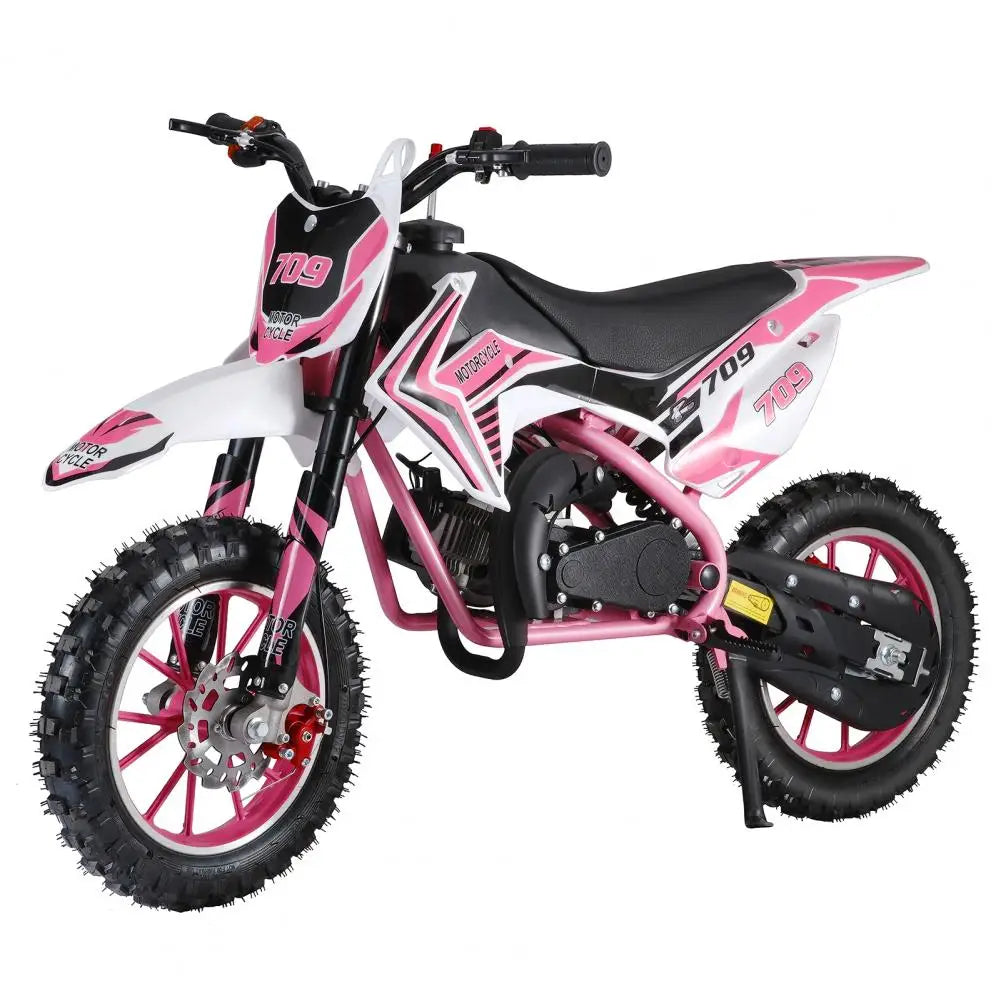 49cc Four Stroke Gas Powered Mini Dirt Bike For Youth
